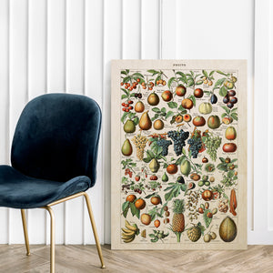 Fruits II