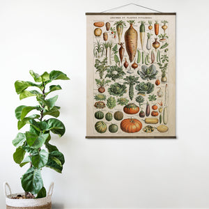 Legumes