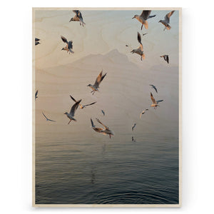 Morning Flight