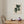 Kepardi Company - Plants I