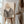 Fanni Laukkanen - Alone in Black windowpane