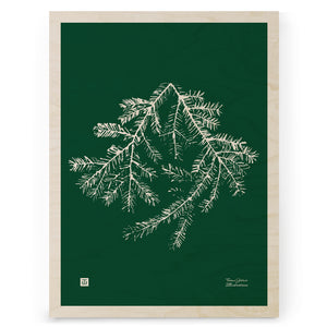 Teemu Järvi - Spruce Branch