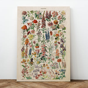 Fleurs