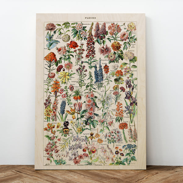Fleurs
