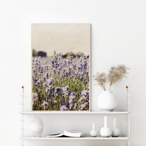 Lavender