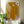 Karolin Frimodig - Liquid lead, yellow