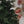 Circle Christmas Decoration