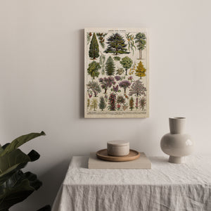 Arbres II