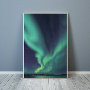 AURORA DANCE