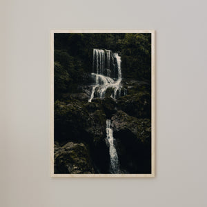 Dark Nature 04
