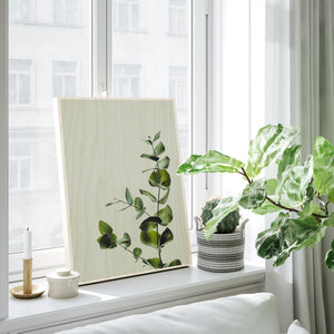 Eucalyptus