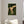 Green & Gold
