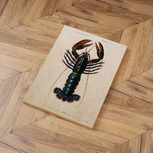 Lobster