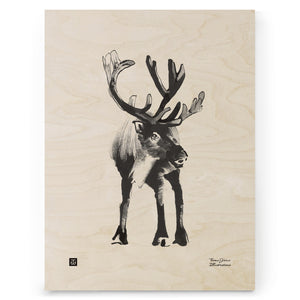 Teemu Järvi - Reindeer