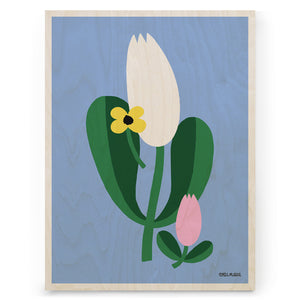 Lotta Maija - Tulip