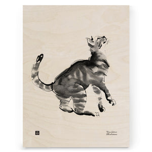 Teemu Järvi - Cat