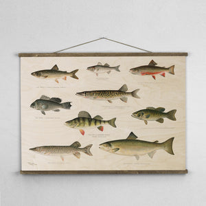 Gone Fishing