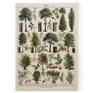 Arbres