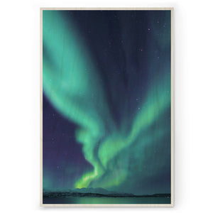 AURORA DANCE