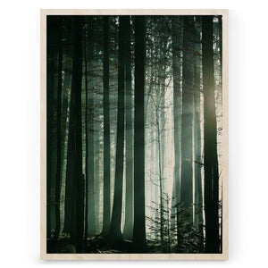Dark Nature 01