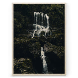 Dark Nature 04