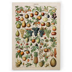 Fruits II