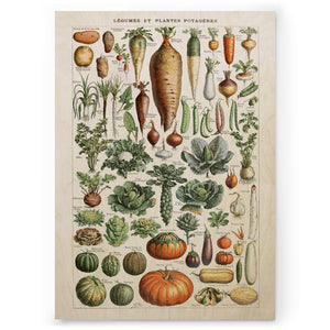 Legumes