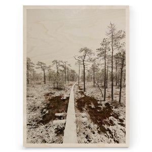 Krista Ylinen - Covered in snow