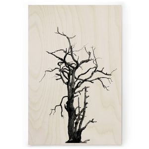 Dead Wood