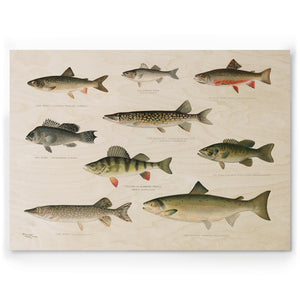 Gone Fishing