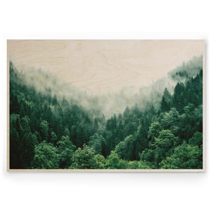Forest Forever