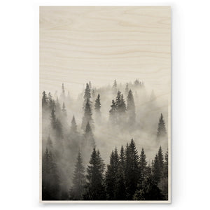 Misty Forest