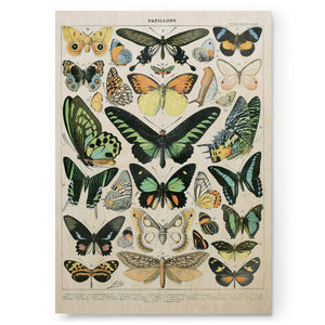 Papillons