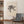 Teemu Järvi - Pine Tree
