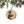 Circle Christmas Decoration