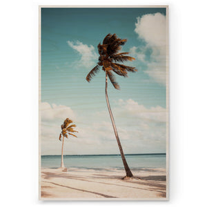 Sea Breeze