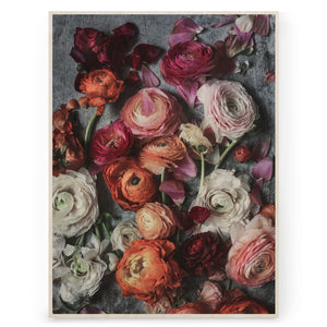 Kreetta Järvenpää - Last Of Ranunculus