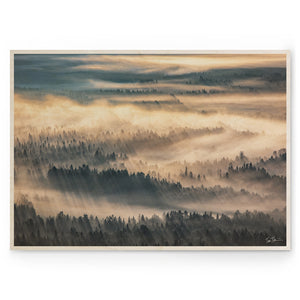 TIINA TÖRMÄNEN - Summer Fog 02