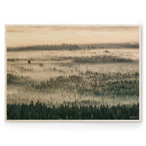 TIINA TÖRMÄNEN - Summer Fog 03