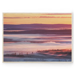 TIINA TÖRMÄNEN - Summer Fog 04