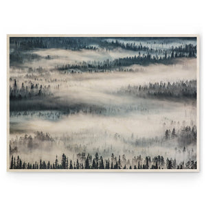 TIINA TÖRMÄNEN - Summer Fog 05
