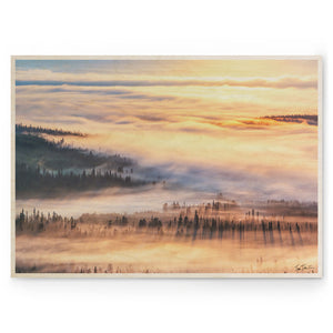 TIINA TÖRMÄNEN - Summer Fog 06