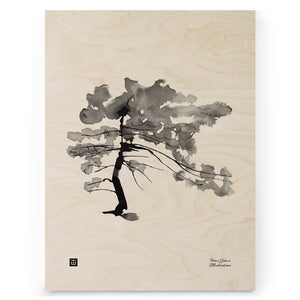 Teemu Järvi - Pine Tree