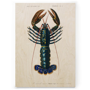 Lobster