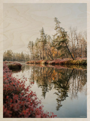 Krista Ylinen - Reflection